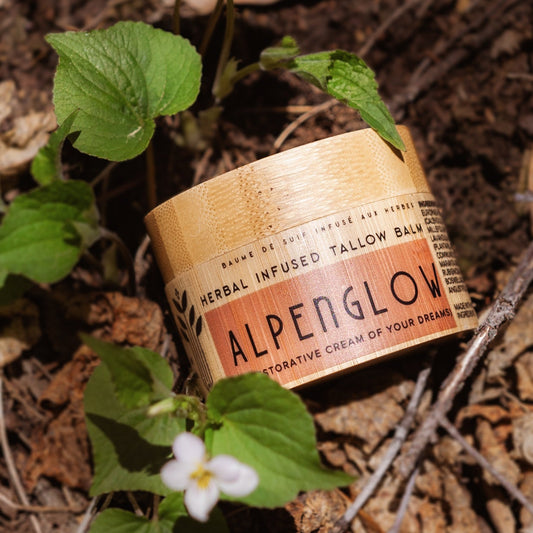 Alpenglow Herbal Infused Whipped Tallow Balm